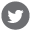Twitter Icon